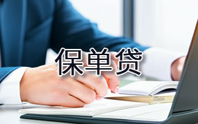 安顺保单贷